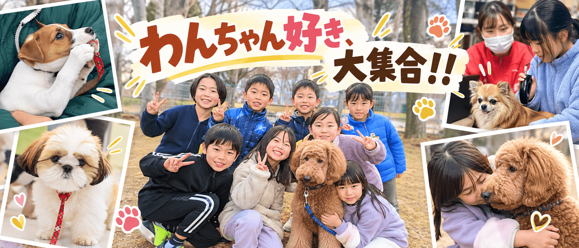 夢への第一歩!犬のお仕事体験ツアー