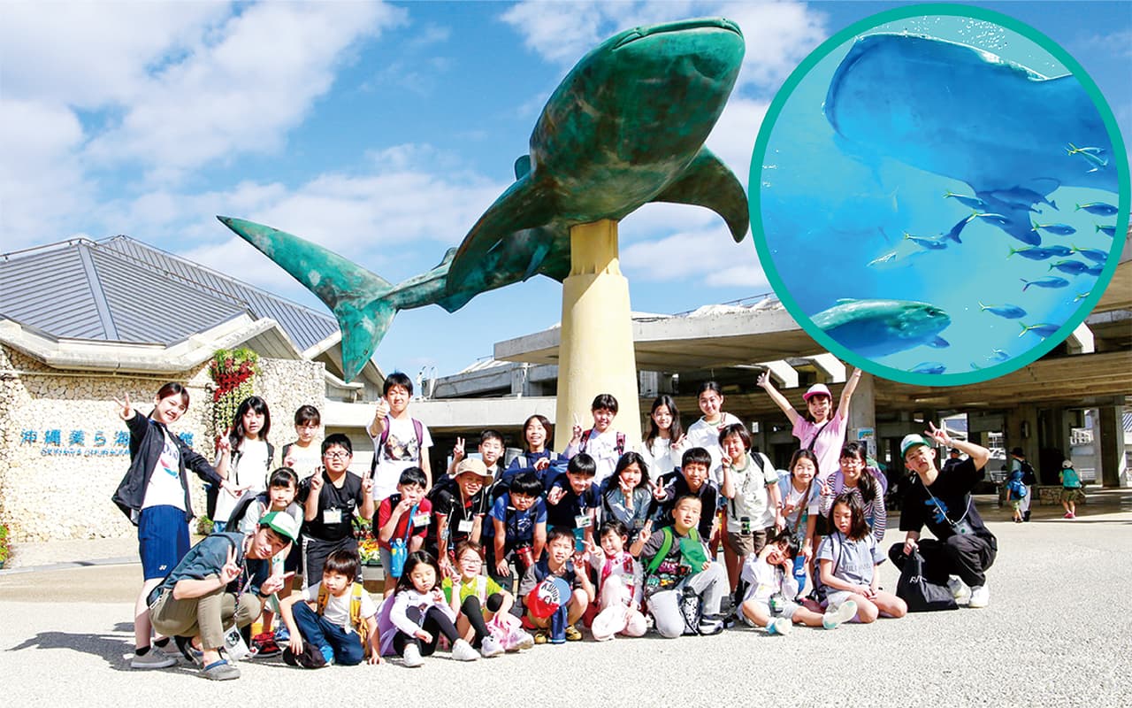 美ら海水族館見学