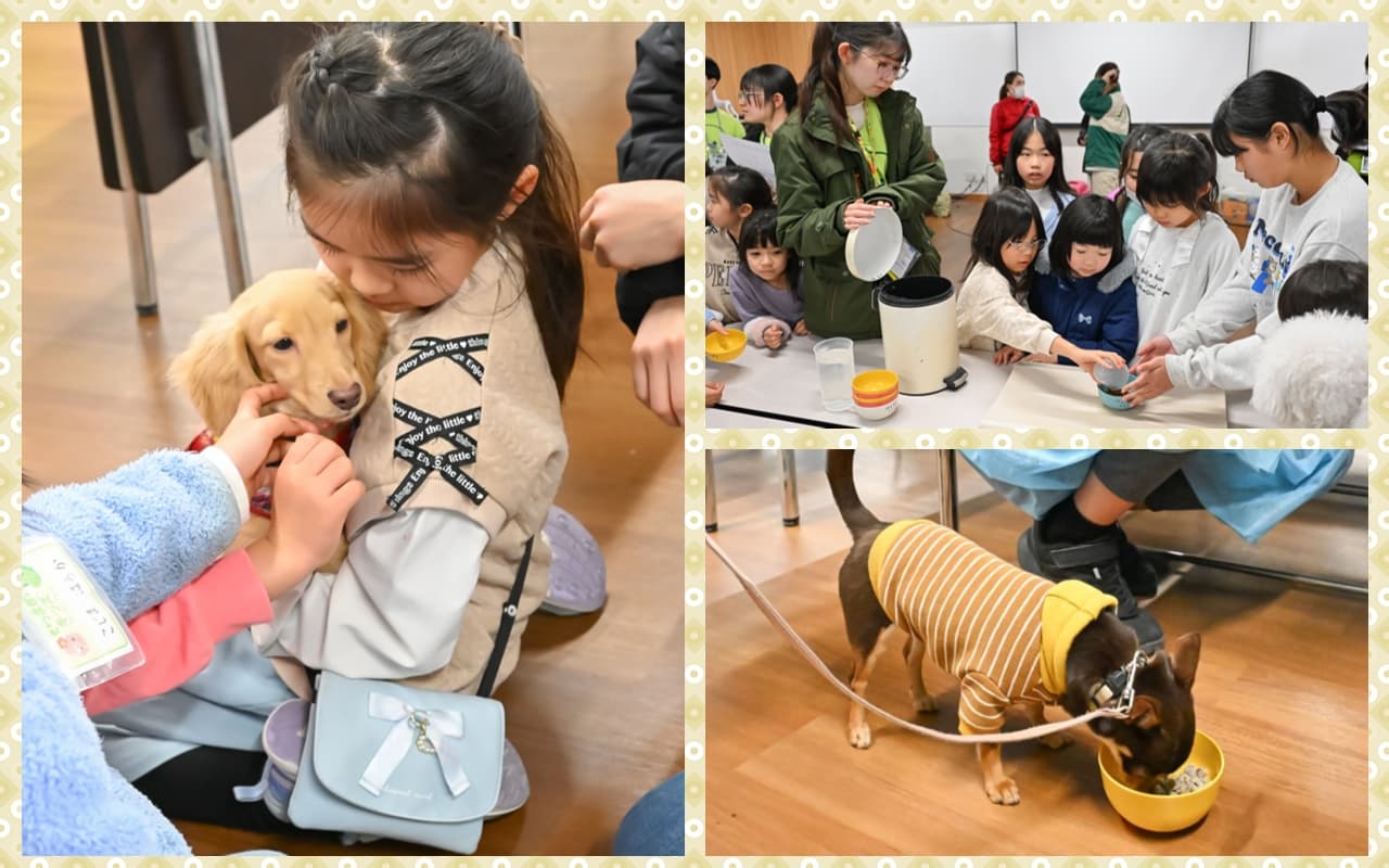●子犬のベビーシッター