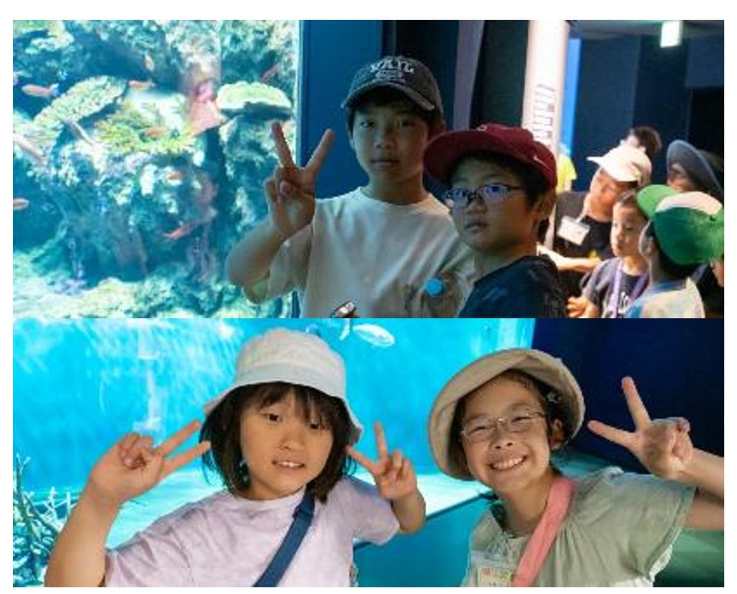 淡水魚“水族館”見学も楽しもう☆