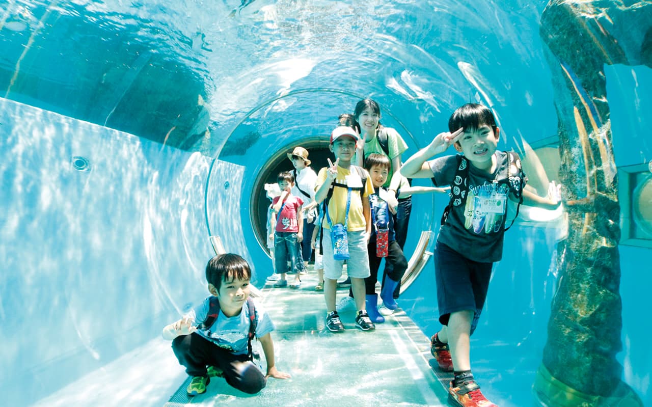 日本最大級の水族館を見学！