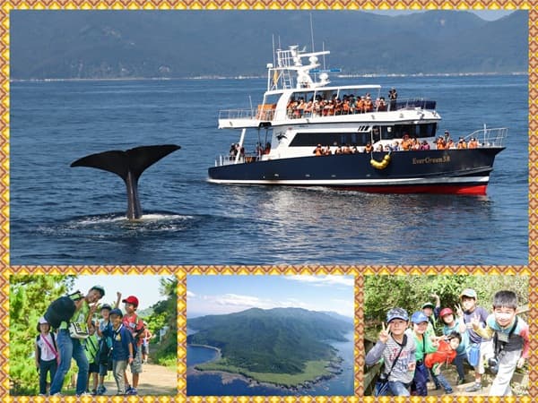 世界自然遺産　秋の知床半島へ上陸★クジラ探索クルーズ＆ネイチャー冒険ツアー【東海出発】