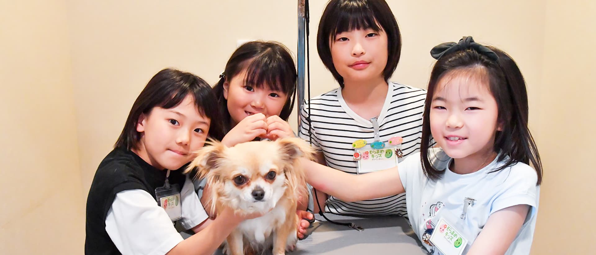 【20名限定】ワンちゃんと過ごす夢の2日間♪世界の名犬牧場で本格ドッグトレーナー＆トリマー体験ツアー