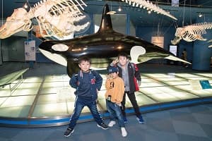 【関西出発】特急“ひのとり”プレミアム車両で行く！名古屋日帰りツアー①水族館コース