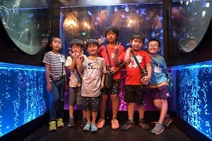 【関西出発】特急“ひのとり”プレミアム車両で行く！名古屋日帰りツアー①水族館コース