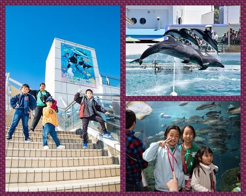 【関西出発】特急“ひのとり”プレミアム車両で行く！名古屋日帰りツアー①水族館コース