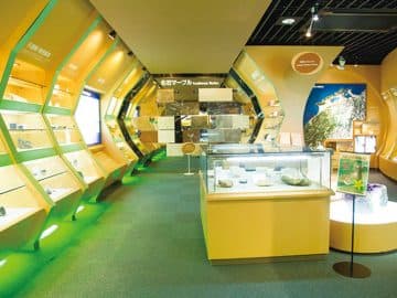 ～泊まれる博物館でナイトミュージアム・水族館バックヤード見学～そらまめ島根大冒険キャンプ