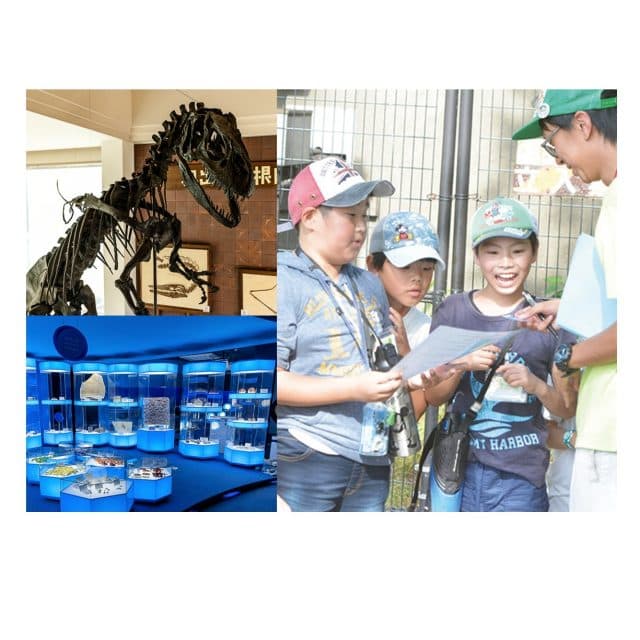 ～泊まれる博物館でナイトミュージアム・水族館バックヤード見学～そらまめ島根大冒険キャンプ