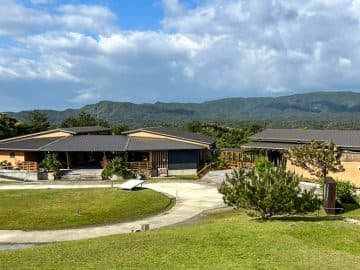 ～”世界自然遺産” 夏の離島留学～2025沖縄北部・徳之島大冒険キャンプ