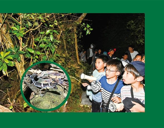 ～”世界自然遺産” 夏の離島留学～2025沖縄北部・徳之島大冒険キャンプ