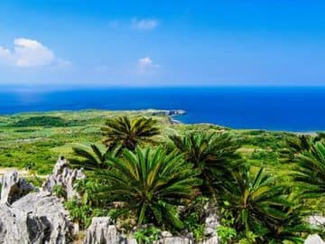 ～”世界自然遺産” 夏の離島留学～2025沖縄北部・徳之島大冒険キャンプ