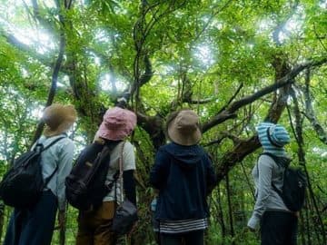 ～”世界自然遺産” 夏の離島留学～2025沖縄北部・徳之島大冒険キャンプ