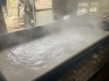 ～”世界自然遺産” 夏の離島留学～2025沖縄北部・徳之島大冒険キャンプ