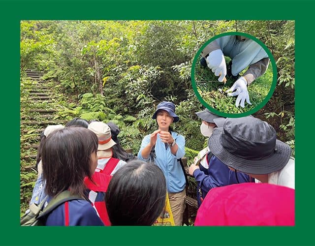 ～”世界自然遺産” 夏の離島留学～2025沖縄北部・徳之島大冒険キャンプ
