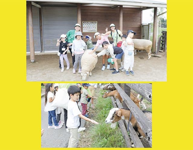 おいしいパンの世界へようこそ！“八天堂くりーむパン”作り＆工場見学ツアー