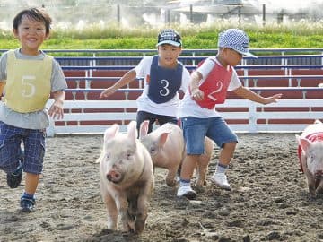 おいしいパンの世界へようこそ！“八天堂くりーむパン”作り＆工場見学ツアー