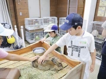 おいしいパンの世界へようこそ！“八天堂くりーむパン”作り＆工場見学ツアー