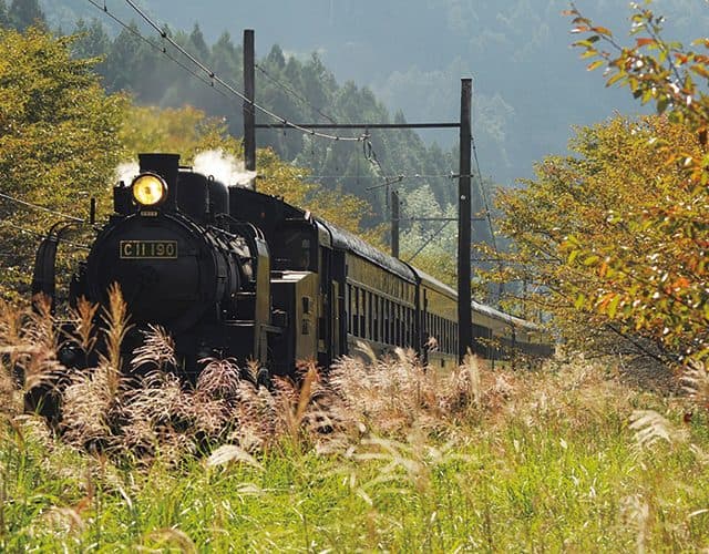 ～SLの聖地『大井川鐡道』＆車両工場見学・リニア見学センター～そらまめ鉄道スペシャルツアー