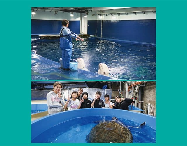 ☆★夢のお泊まり水族館★☆“島根県立しまね海洋館アクアス”満喫ツアー