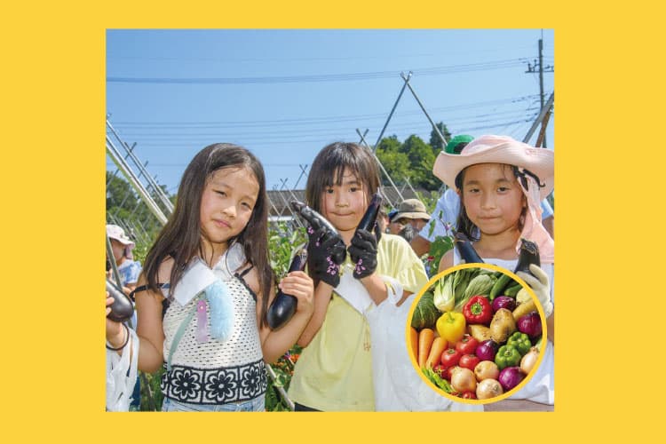 ～やきいも工場見学＆水遊び＆夏野菜収穫～そらまめ夏のニコニコキャンプ2days