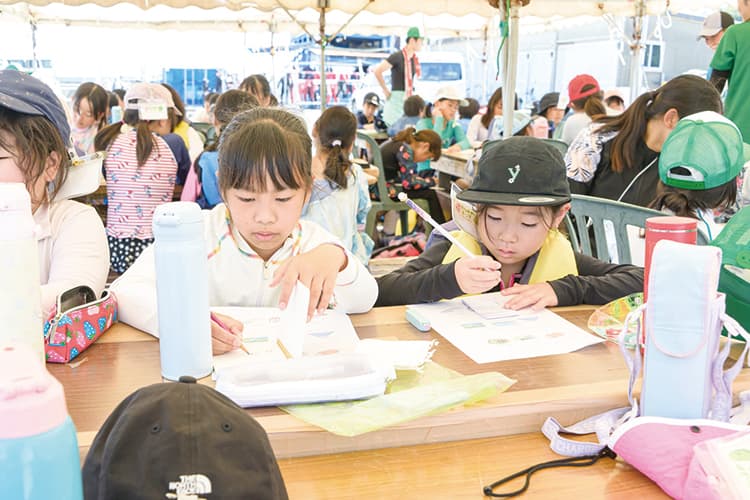 イルカたちと泳ごう♪ドルフィンスイム＆イルカトレーナー体験ツアー①