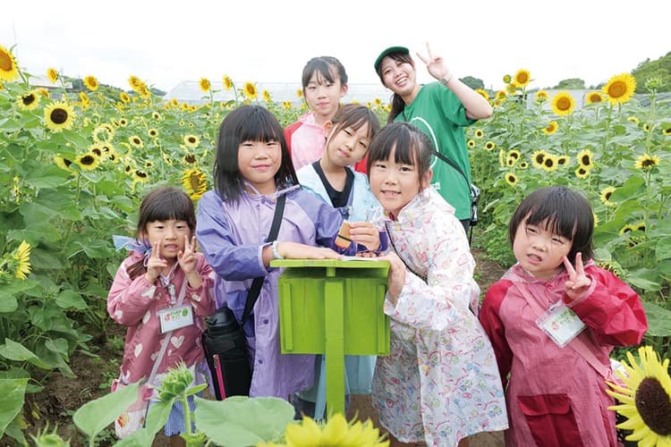 ゴールを目指せ！！巨大ひまわり迷路＆アイスクリーム作り体験ツアー