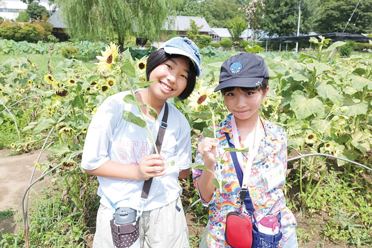 ゴールを目指せ！！巨大ひまわり迷路＆アイスクリーム作り体験ツアー