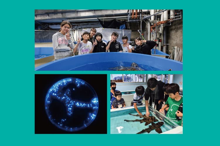 水族館で夢のお泊まり体験＆本格化石発掘に挑戦★福井の生き物探検キャンプ
