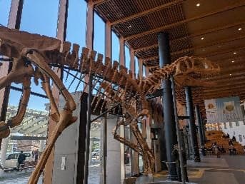 水族館で夢のお泊まり体験＆本格化石発掘に挑戦★福井の生き物探検キャンプ