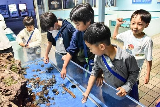 水族館で夢のお泊まり体験＆本格化石発掘に挑戦★福井の生き物探検キャンプ