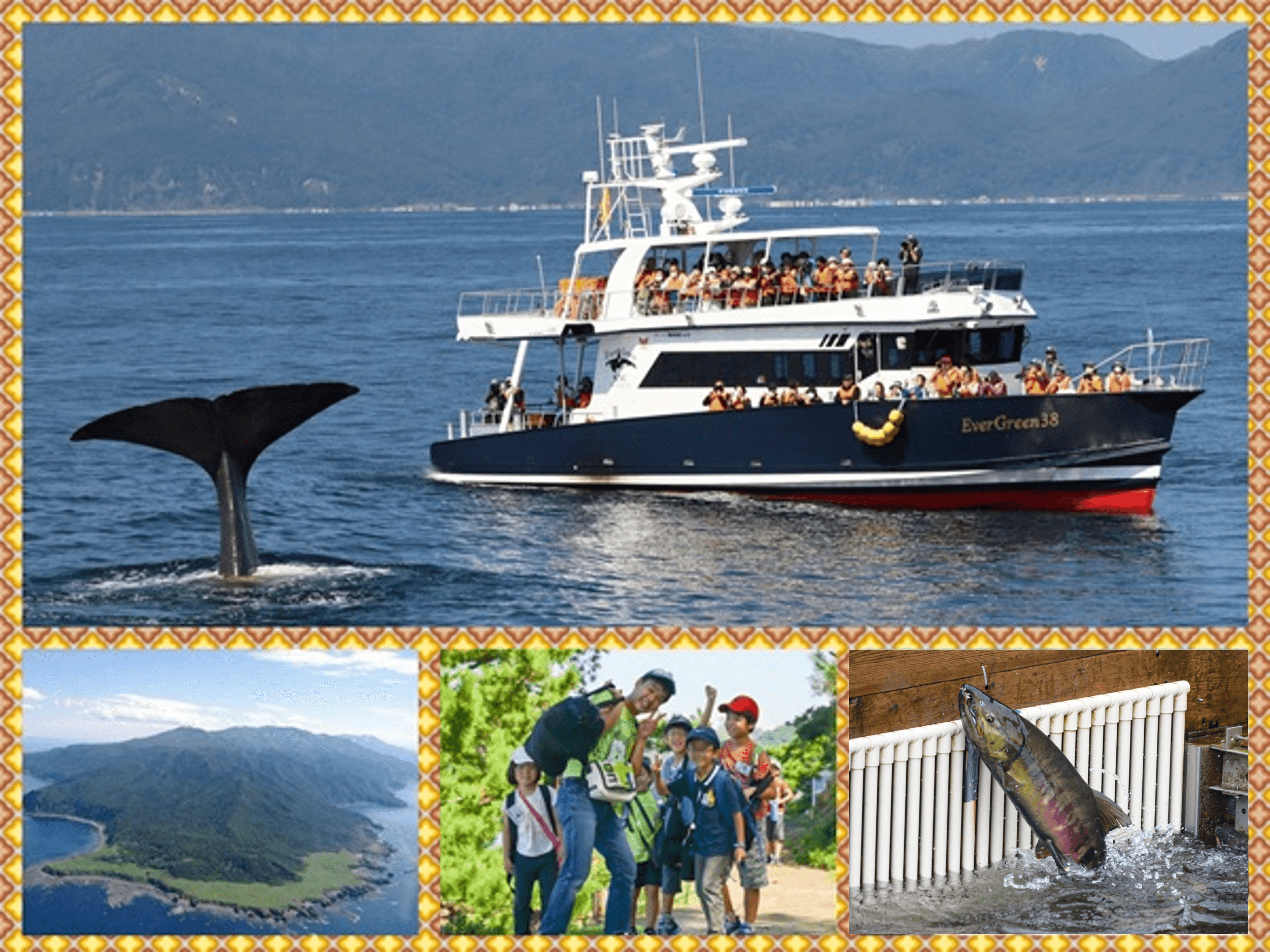 【世界自然遺産】秋の知床半島へ上陸★クジラ探索クルーズ＆ネイチャー冒険ツアー