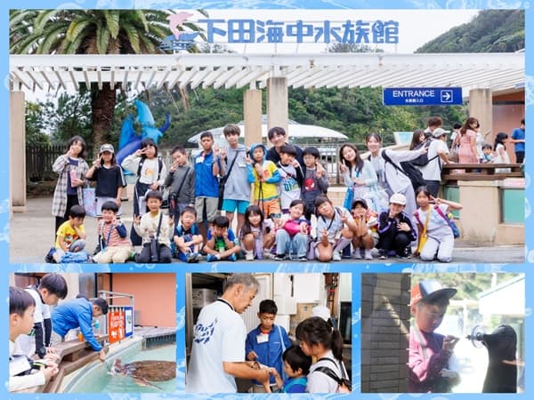 ドルフィン＆サファリ　伊豆プレミアムキャンプ3days　①水族館飼育員さん体験コース【東海出発】