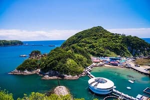 ドルフィン＆サファリ　伊豆プレミアムキャンプ3days　①水族館飼育員さん体験コース【東海出発】