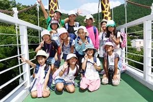 ドルフィン＆サファリ　伊豆プレミアムキャンプ3days　①水族館飼育員さん体験コース【東海出発】