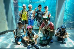 ドルフィン＆サファリ　伊豆プレミアムキャンプ3days　①水族館飼育員さん体験コース【東海出発】