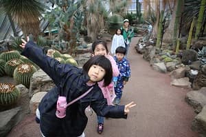 ドルフィン＆サファリ　伊豆プレミアムキャンプ3days　①水族館飼育員さん体験コース【東海出発】