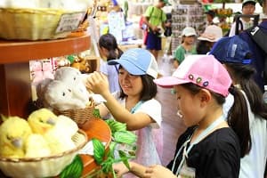 ドルフィン＆サファリ　伊豆プレミアムキャンプ3days　①水族館飼育員さん体験コース【東海出発】