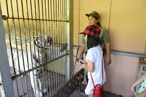 ドルフィン＆サファリ　伊豆プレミアムキャンプ3days　①水族館飼育員さん体験コース【東海出発】