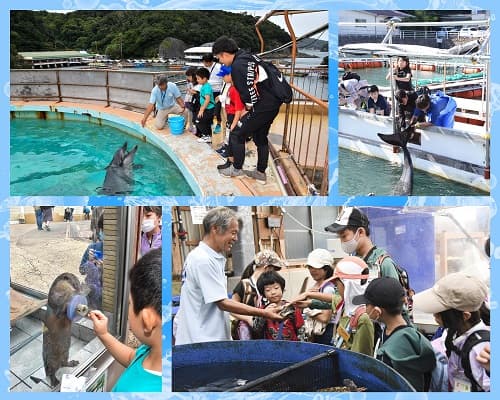 ドルフィン＆サファリ　伊豆プレミアムキャンプ3days　①水族館飼育員さん体験コース【東海出発】