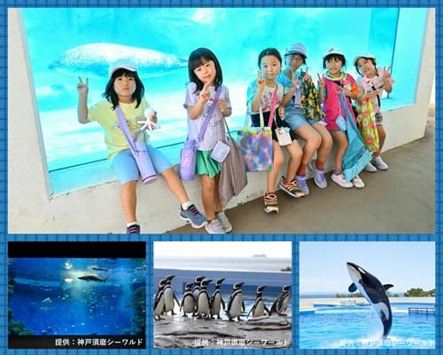 ～フィッシング＆『神戸須磨シーワールド』見学～海の生き物1dayキャンプ【関西出発】