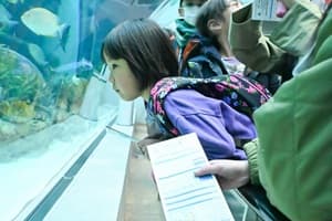 ～フィッシング＆『神戸須磨シーワールド』見学～海の生き物1dayキャンプ【関西出発】