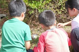 里山の自然を大満喫！！秋の昆虫キャンプ【関西出発】