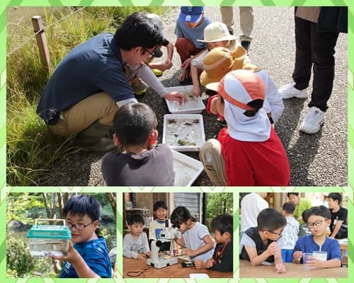 里山の自然を大満喫！！秋の昆虫キャンプ【関西出発】