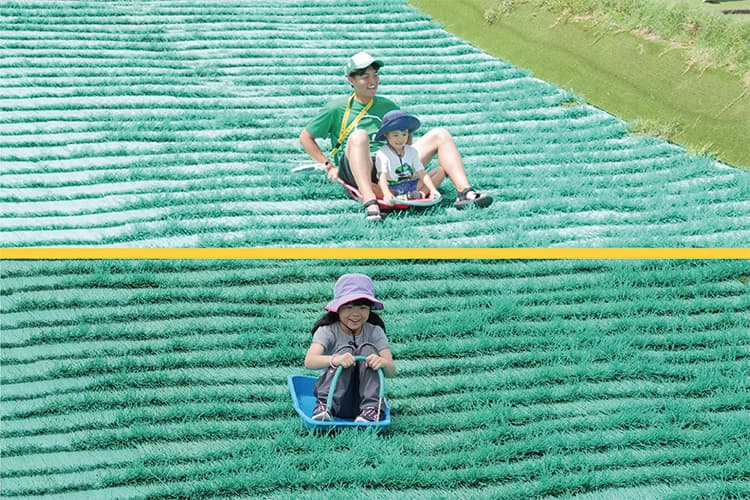 成田ゆめ牧場で芋ほり体験＆動物ふれあい♪初めてでも安心◎にこにこ牧場ツアー