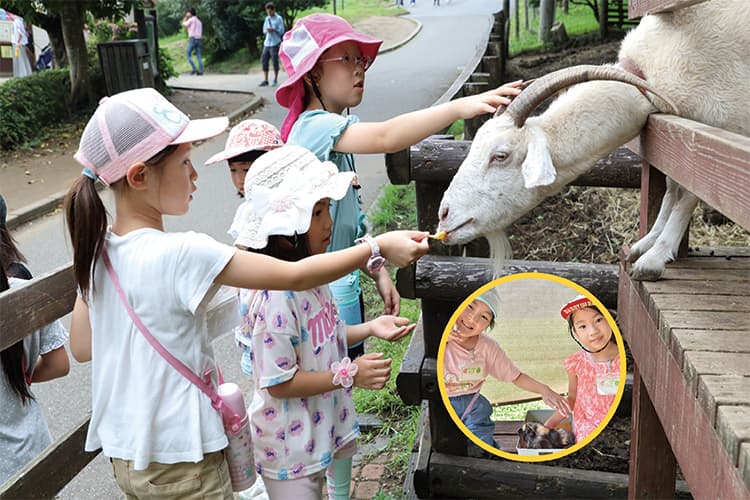 成田ゆめ牧場で芋ほり体験＆動物ふれあい♪初めてでも安心◎にこにこ牧場ツアー