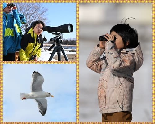 世界自然遺産 秋の知床半島へ上陸★クジラ探索クルーズ&ネイチャー冒険ツアー【東海出発】