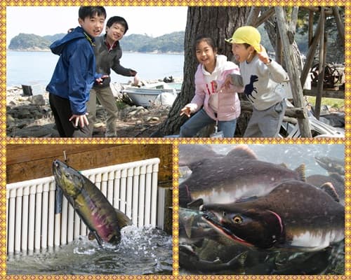世界自然遺産 秋の知床半島へ上陸★クジラ探索クルーズ&ネイチャー冒険ツアー【東海出発】