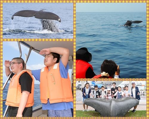 世界自然遺産 秋の知床半島へ上陸★クジラ探索クルーズ&ネイチャー冒険ツアー【東海出発】