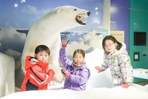 世界自然遺産 秋の知床半島へ上陸★クジラ探索クルーズ&ネイチャー冒険ツアー【東海出発】