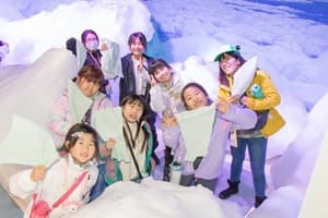 世界自然遺産 秋の知床半島へ上陸★クジラ探索クルーズ&ネイチャー冒険ツアー【東海出発】